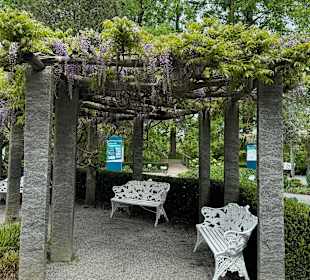 Blumeninsel Mainau