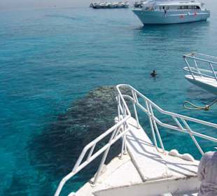 Noch ein Riff mit bunten Fischis