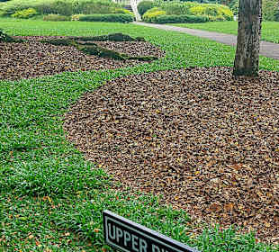 Botanischer Garten