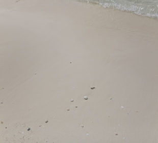 Bahia de las Aguilas