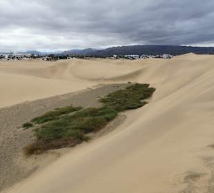 Dünen von Maspalomas