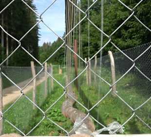 Phäno-Pfad Aichstetten