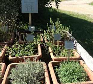 Klosterkirche Maria Gnadenzell