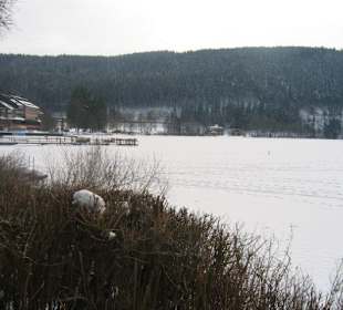 Blick auf den zugefrorenen und verschneiten See