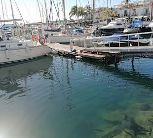 Inselrundfahrt Gran Canaria