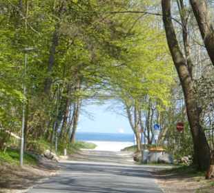 Eindrücke von unseren Priwallwanderungen