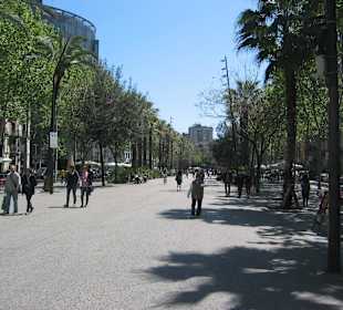 Die Rambla am Morgen