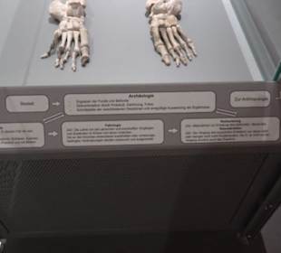 Museum Römer und Bajuwaren