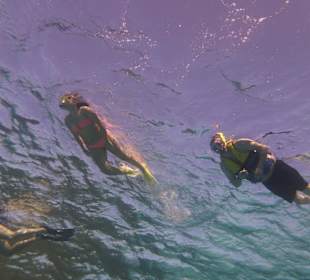 Einmalie Erlebnisse mit Mo´s Delfinen