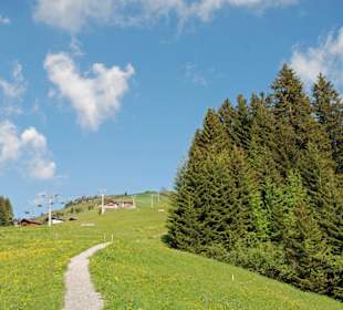 Weg nach Oberdamüls