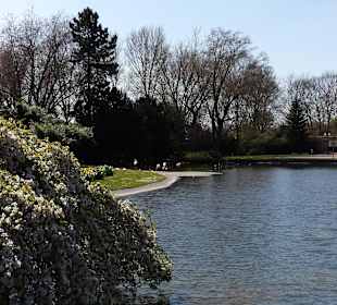Frühling im Westfalenpark Dortmund