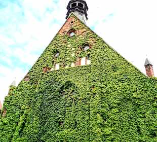 Stadtrundgang Stralsund