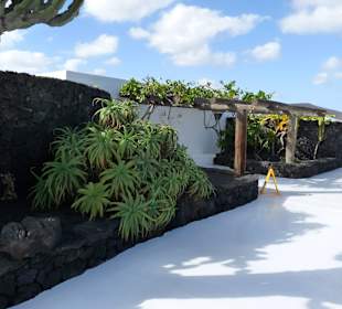 Fundacion Cesar Manrique