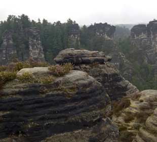 Felsenburg Neurathen