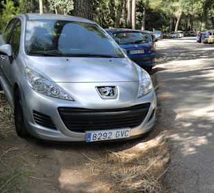 Gefährliches Parken am Straßenrand