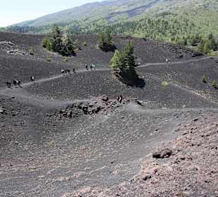 Wanderroute auf dem Lavafeld