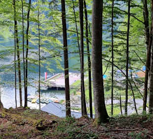 Blick zum See