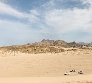 Wüsten Zoo Hurghada