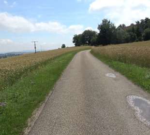 Burgruine Niederhaus