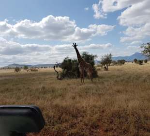 Isaac MK Safari/Isaac Mwachai