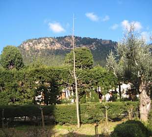 Garten des Königs Joan Carles I.