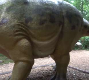 Dinosaurier Museum Altmühltal