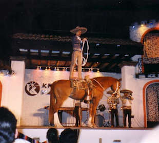 Fiesta im Hotel Krystal