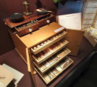 In der Depotausstellung des Museums