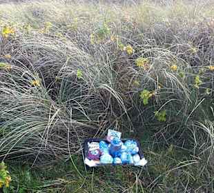 Kurioses in derDüne