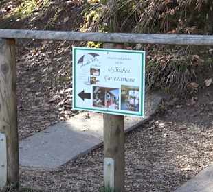 Hängebrücke im Fürstlichen Park