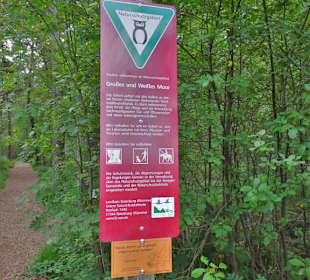 Das Moor am Großen Bullensee