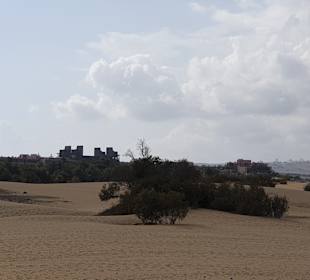 Dünen von Maspalomas