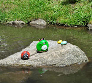 Marienkäfer und Frosch im Teich