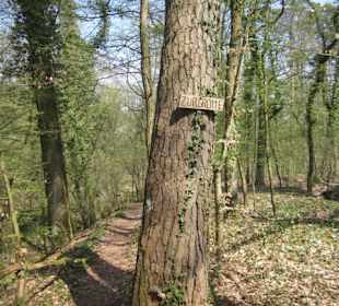 Bei der Lingenfelder Grotte