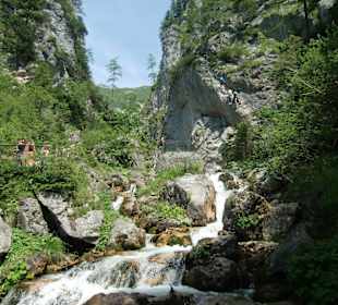 Silberkarklamm