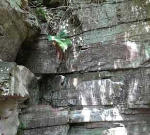 Wanderweg Märchensee Runde