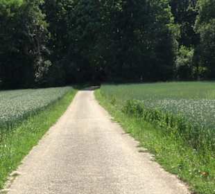 Burg Hölnstein Stetten u. Holstein