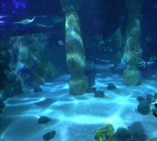  Lego X-Treme - Legoland Atlantis by SEA LIFE