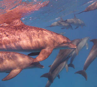 Mittendrin statt nur dabei...