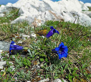 Wandern Mühlbach