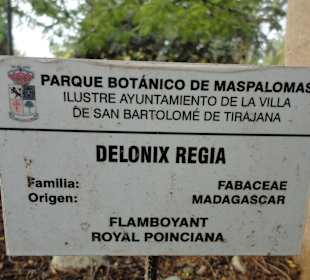 Parque Botánico de Maspalomas