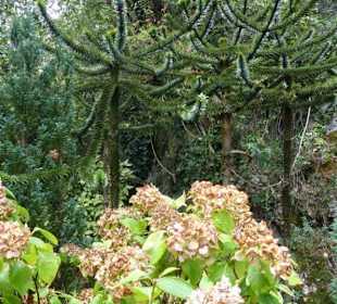 Am Rande des Kreuzweges