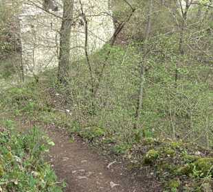 Wanderung rund um das Rusenschloss Gerhausen
