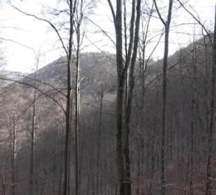 Wasserfallsteig