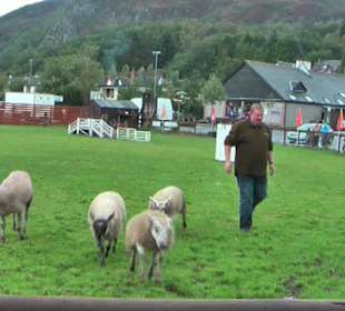 Tierschau auf dem Freigelände