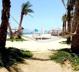 Abou Dabab (Marsa Alam)