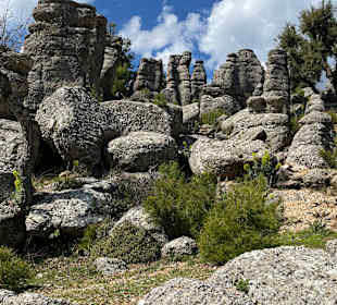 Wandern Side