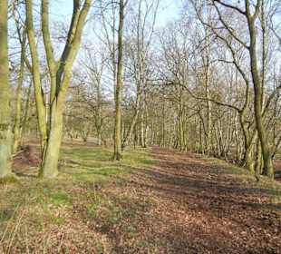 Wunderschöne Boberger Niederung