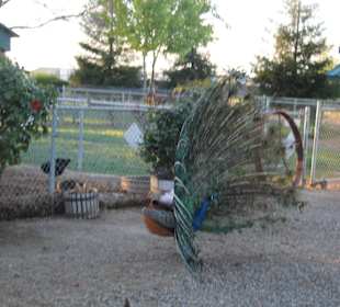 Merced Fruit Barn