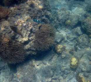 Underwater, fast am Hotelbeach